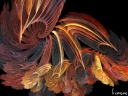 Bruno Contant - Apophysis-23 - 420 ème avec 244 clicks Bruno Contant - Apophysis-23 - 420 ème avec 244 clicks